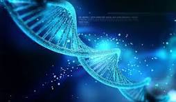 DNA